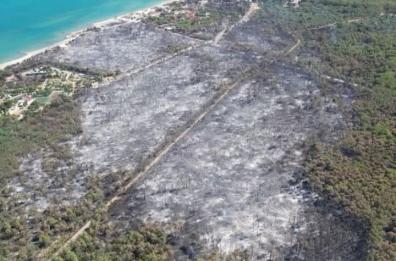 Metaponto, ecco quel che resta della pineta dopo lo spegnimento del rogo: 104 ettari andati in fumo