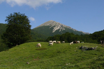 Approvato il nuovo piano del parco: una svolta per il futuro del Pollino