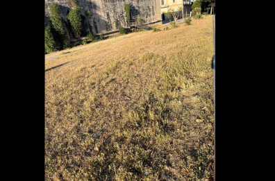 Lupiae Servizi, a Lecce il sindaco cambia tutto: «Priorità al verde»