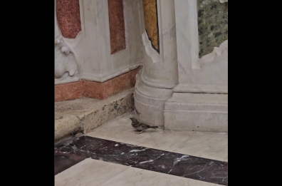 Martina Franca, ecco i «messaggeri alati» dei santi patroni
