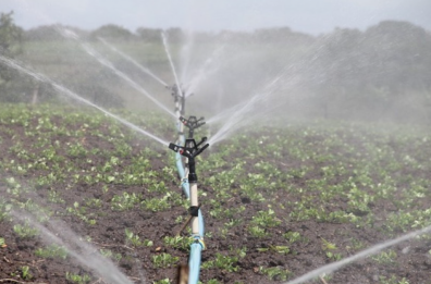 Basilicata, la Regione assicura gli agricoltori: l’acqua per irrigare non mancherà