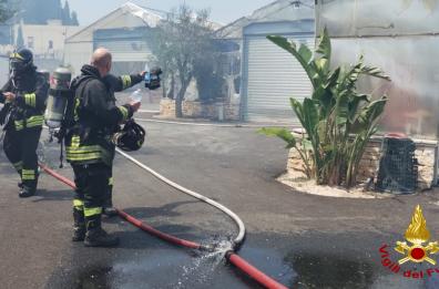 Fiamme vicino al cimitero di Grumo Appula: incendio danneggia serra, colonna di fumo visibile da chilometri