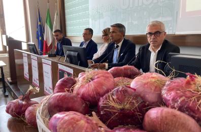 Ad Acquaviva torna la Festa della Cipolla Rossa: musica, visite guidate e laboratori