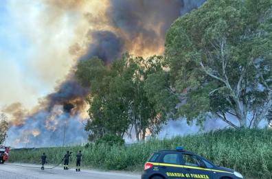 Incendio all'oasi di Lago Salso, disastro naturalistico: la nube visibile da tutta la Capitanata FOTO/VIDEO
