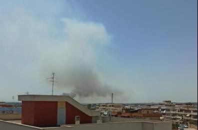 Quarto giorno di incendi a Manfredonia: ancora fiamme  nella zona della palude Frattarolo