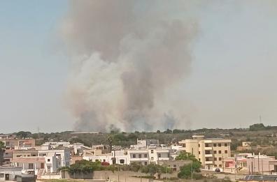 Incendio in allevamento nel Salento, morti tra le fiamme 80 bovini.  «Una taglia per trovare il colpevole»