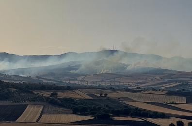 Ancora un incendio nel Foggiano: paura per una casa di riposo a Motta Montecorvino 
