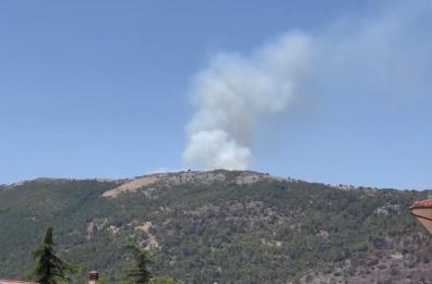 Incendi sul Gargano, riprende a bruciare Monte Castellana a San Giovanni Rotondo