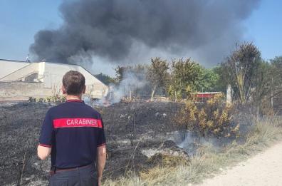 Inferno di fuoco a Punta Prosciutto: distrutti due ettari di macchia mediterranea. L'incendio sfiora le case