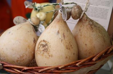 Via all'iter per il marchio Dop al caciocavallo podolico lucano