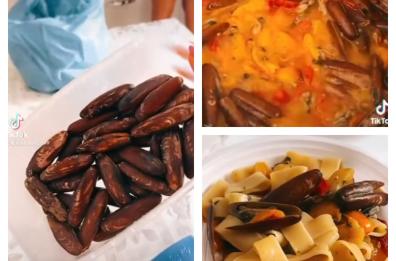 Mangia datteri di mare su TikTok: così Francesco Terlizzi dall’«Isola dei famosi» finisce alla sbarra