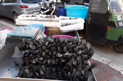 Trenta chili di cozze non tracciate e distrutte: assolta dopo otto anni di processo titolare di un ristorante barese