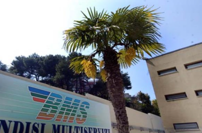 Dipendente Multiservizi Brindisi minacciata, ma il sindaco non informò Palasciano