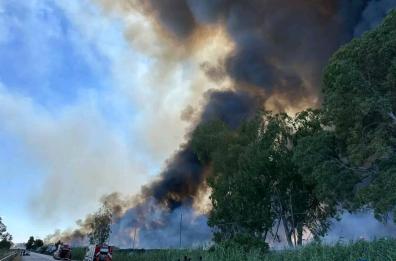 L'allarme del Wwf: «Bruciata e abbandonata, così l’Oasi Lago Salso rischia di scomparire per sempre»