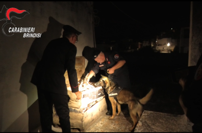 Sgominato giro di spaccio a Carovigno: le case di due coppie come basi logistiche della droga