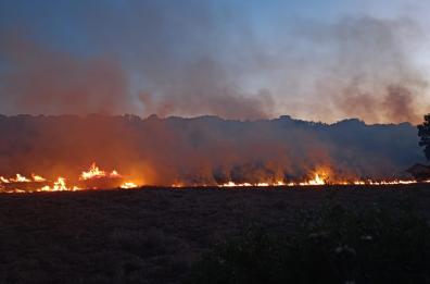 Incendio sulla 274 all'altezza di Presicce-Acquarica: a fuoco la macchia mediterranea VIDEO