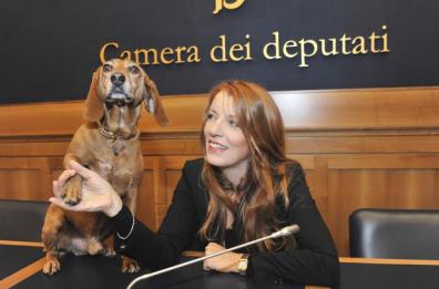 Brambilla: «Così la mia legge difende gli animali. In Puglia troppi randagi»