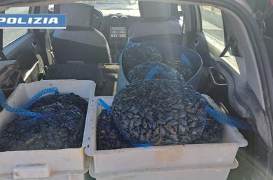 Taranto, in auto con 150 chili di cozze: denunciato pregiudicato 49enne