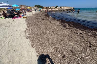 Ostuni, i residenti di Diana Marina denunciano il degrado della spiaggia: «Promesse mai mantenute, situazione insostenibile»