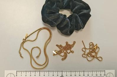 Gallipoli, campani in trasferta rubano collanine d'oro durante il concerto di Anna: denunciati 