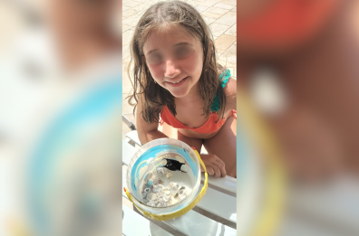 Bari, bimba di 9 anni trova un «borsellino della sirena» a San Giorgio: «È un uovo di squalo»
