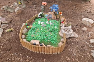 Bari, da 14 anni a Japigia nascosto tra rifiuti ed erbacce c'è un cimitero abusivo per cani 