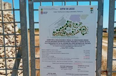 Lecce, al via i lavori di riforestazione urbana: aperti i cantieri in centro