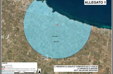 La Xylella è arrivata anche a Giovinazzo: trovato un ulivo infetto