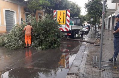 Nubifragio e tromba d’aria improvvisa nel Salento: caduti alberi a Nardò, alcune zone al buio