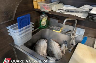 Polignano a Mare, donna mangia al ristorante etnico e finisce in ospedale: sequestrati 50 chili di pesce
