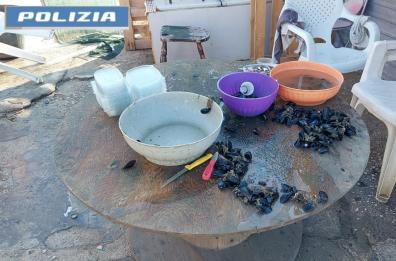 Taranto, sorpreso a sgusciare 40 chili di cozze in piazza sotto al sole: denunciato