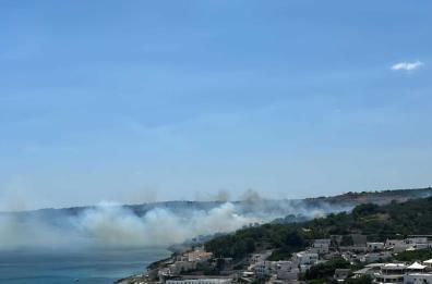 Torre Chianca, in fiamme il vasto canneto della marina leccese: intervenuto anche un canadair