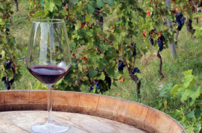 «Città italiana del Vino», il Vulture si candida per ospitare l’edizione 2026