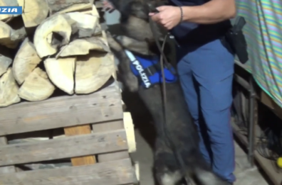 Colpo alla Sacra Corona Unita: fermati 4 storici esponenti della frangia dei «tuturanesi», fra Brindisi e Napoli I NOMI - VIDEO