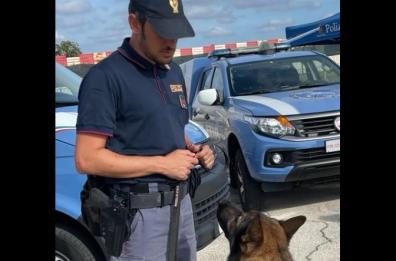 Mola di Bari, spacciavano droga nel locale: sospesa attività