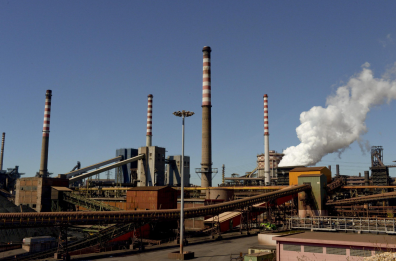 «La diossina nelle pecore abbattute non proveniva dall'ex Ilva»
