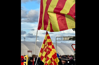Lecce, per lo Stadio stretta su alcol e sicurezza: arriva l’ordinanza del sindaco Poli Bortone