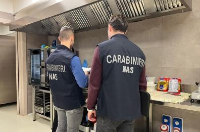 Ristorante invaso dalle blatte e cibo contaminato: attività chiusa in un centro commerciale a Nord di Bari