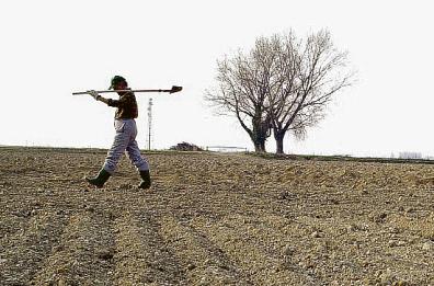 Agricoltori pugliesi, dall’emancipazione alla «fanteria di piazza»