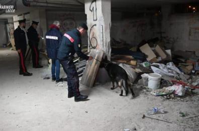 Operazione Fenice Neretina: si sono costituiti gli ultimi due irreperibili  Operazione Fenice Neretina: si sono costituiti gli ultimi due irreperibili