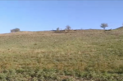 Nuove importanti scoperte nel sito archeologico di Heraclea Nuove importanti scoperte nel sito archeologico di Heraclea