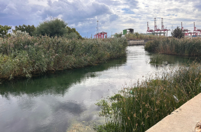 Taranto, al via i lavori per il futuro dissalatore: il primo passo verso una nuova sicurezza idrica Taranto, al via i lavori per il futuro dissalatore: il primo passo verso una nuova sicurezza idrica