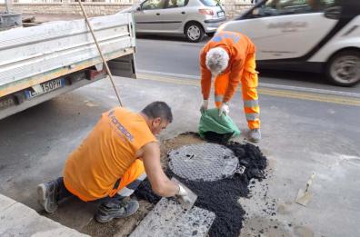 Bari, coprono un tombino in via Re David e mesi dopo lo «riaprono»: le blatte invadono la strada, l'ira dei commercianti