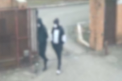 Foggia, legarono e imbavagliarono in casa una 84enne per rapinarla: i 5 arrestati fanno scena muta Foggia, legarono e imbavagliarono in casa una 84enne per rapinarla: i 5 arrestati fanno scena muta