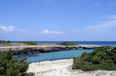 Gli ambientalisti tuonano: «Gravi criticità, si sospenda il Piano costiero di Ostuni» Gli ambientalisti tuonano: «Gravi criticità, si sospenda il Piano costiero di Ostuni»