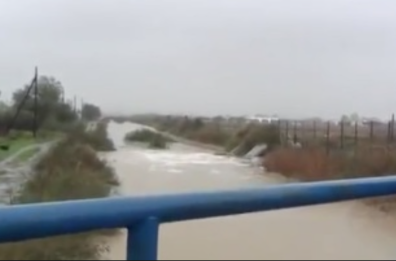 Basilicata, «Tutela del bosco Pantano, criticità nella gestione dei progetti»