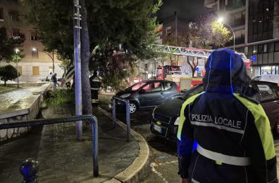 Foggia, grosso ramo cade su un’auto in piazza San Francesco
