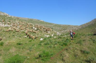 Ecco cosa fare in Puglia e in Basilicata nel weekend dal 21 al 23 novembre 2025 Ecco cosa fare in Puglia e in Basilicata nel weekend dal 21 al 23 novembre 2025