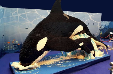 Bari, in Fiera del Levante tra orche e delfini in Lego: uno sguardo dentro la  mostra BrickArt Ocean VIDEO