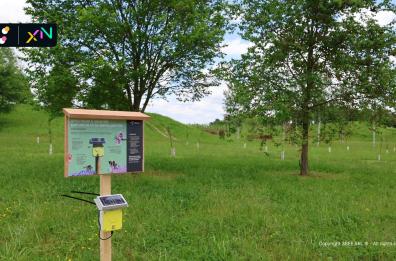 3Bee celebra dieci anni dalla nascita della sua idea nella Giornata Mondiale del Suolo